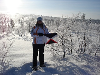 2008 Inari