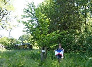 2009 Kozelka