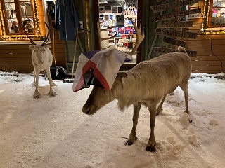 2025 Tromso 1